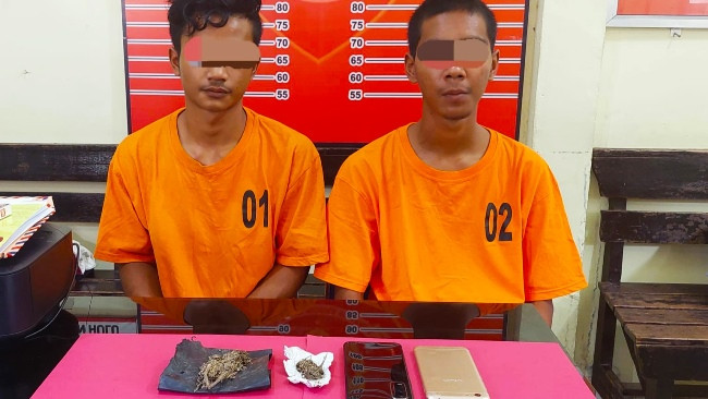 Polisi Rohul Tangkap Pengedar Ganja di Gubuk Kosong