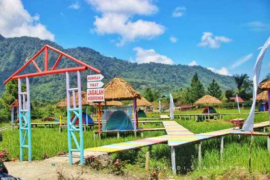 Serunya Wisata Tidur di Sawah 