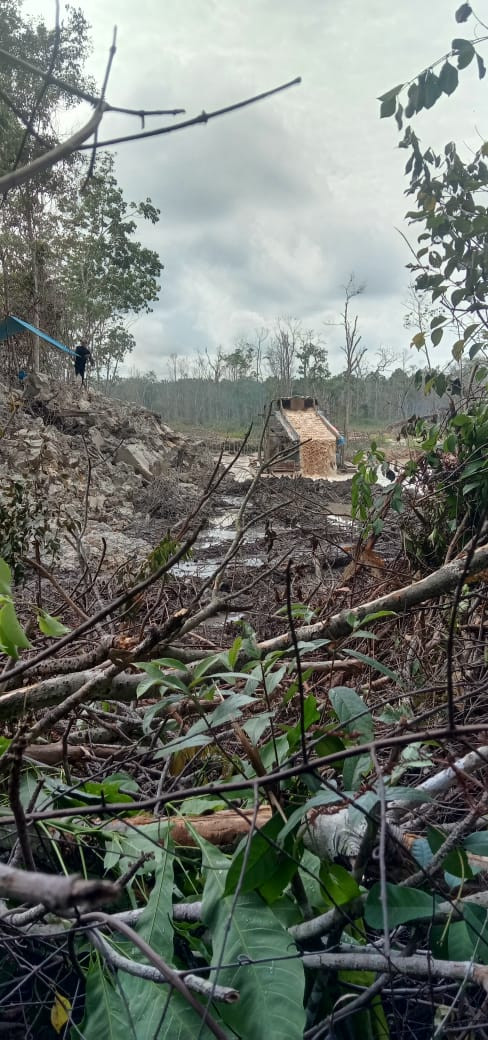 Aktivitas PETI Bebas di Desa Kasang Limau Sundai Ada Apa