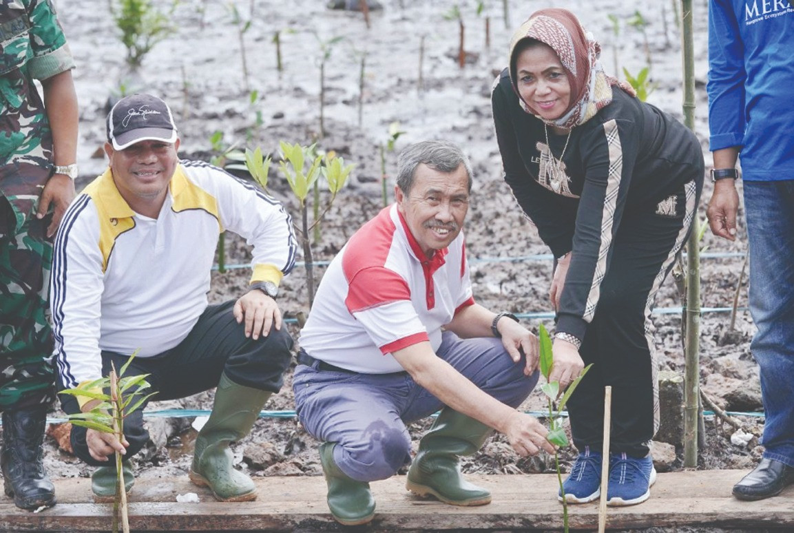 Sempena Hari Mangrove Sedunia