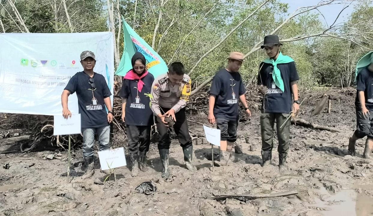 MAFAKUMPALA UIR Lakukan Penyuluhan dan Tanam 500 Mangrove di Pesisir Desa Tanjung Pisang