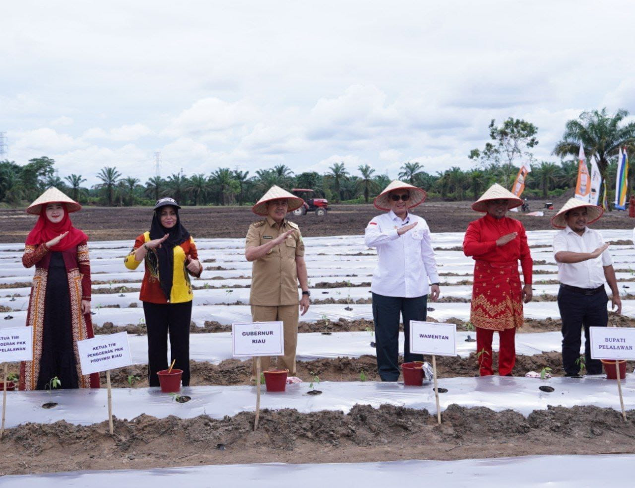 Tanam Cabai Bersama Gubri, Wamentan: Jangan Pernah Berhenti Cari Solusi untuk Rakyat