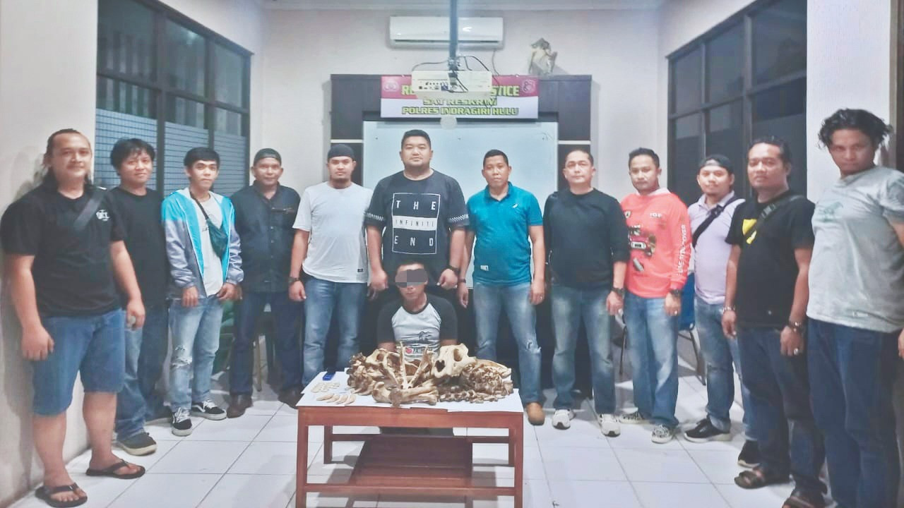 Penjual Tulang Harimau Ditangkap