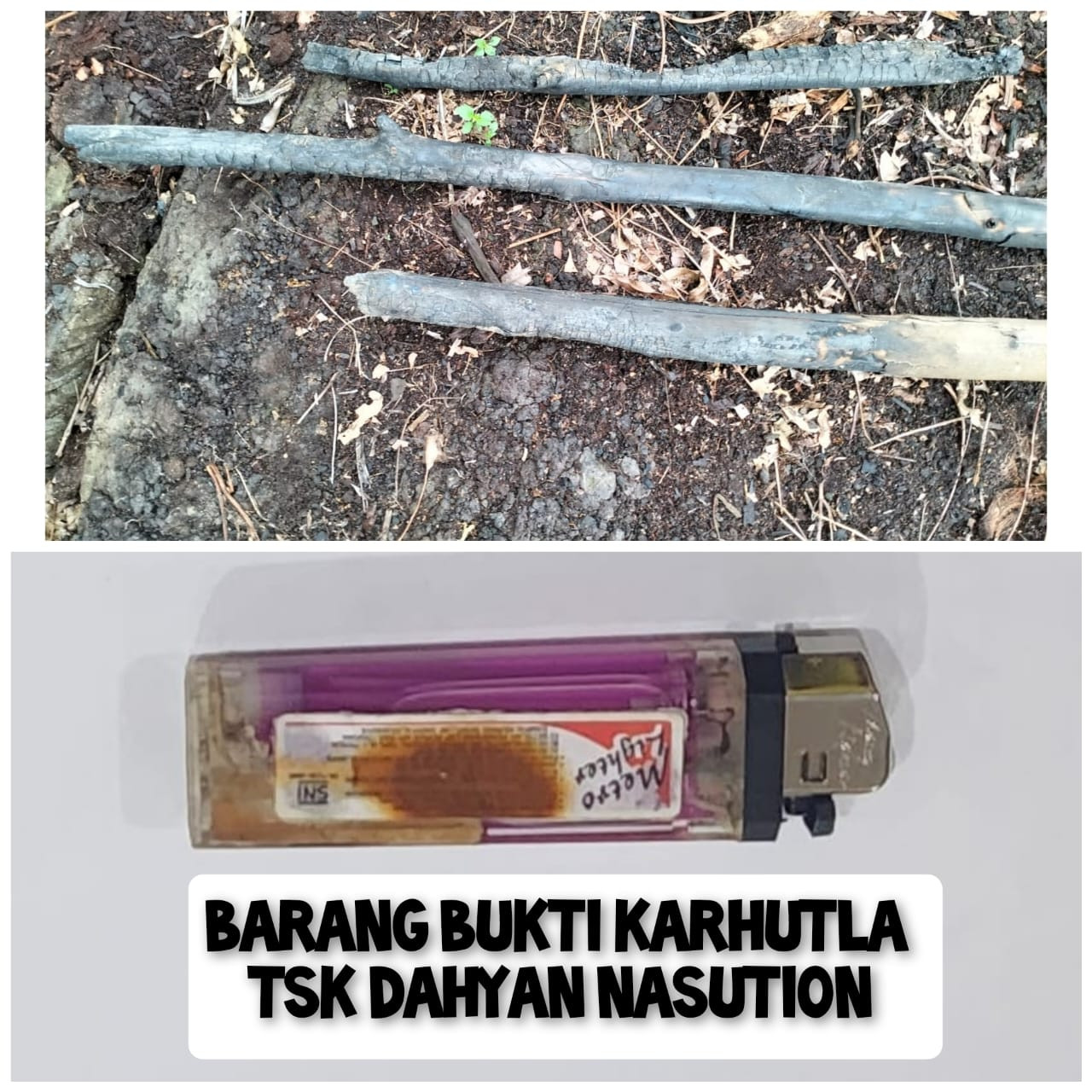 Tiga Perambah Hutan Diciduk, Cukong Dan Makelar Kapan Menyusulnya