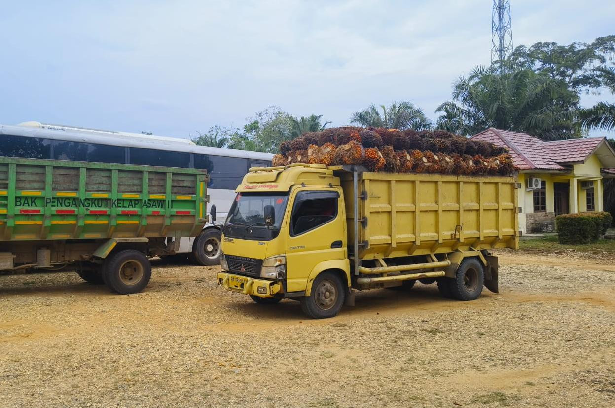 Babak Baru Konflik Sawit Agrinas di Inhu, Mobil Pengangkut Hasil Jarahan Gunduk Diamankan Polisi