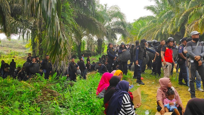 Pemerintah Pusat Harus Hadir Selesaikan Persoalan Lahan Desa Pangkalan Gondai