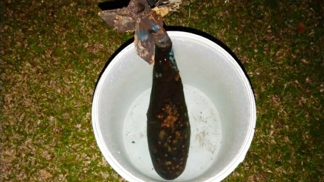 Dua Pencari Ikan di Sungai Kampar Temukan Mortir