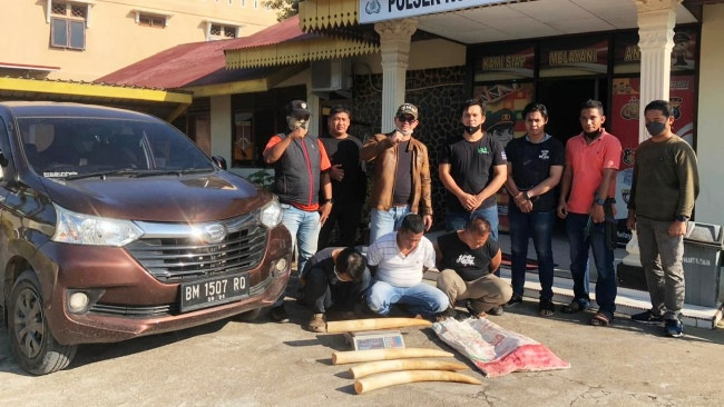Polda Riau Tangkap Tiga Pria Penjual Gading di Kuansing