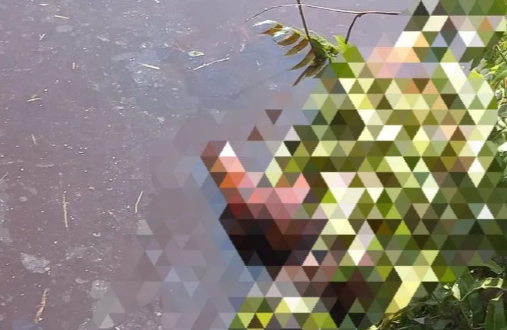 Pria Muda Di Rohil Ditemukan Tewas Di Parit, Pelaku Tertangkap Di Pekanbaru