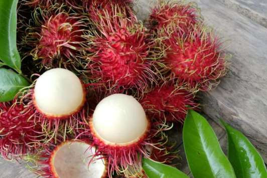 Rambutan.jpg