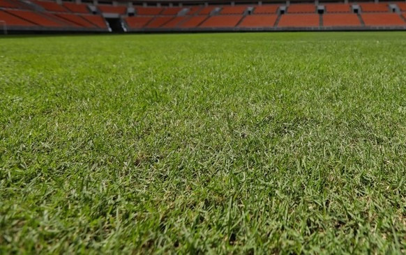 Piala Dunia U-17 2023: Rumput JIS Masuk Tahap Observasi