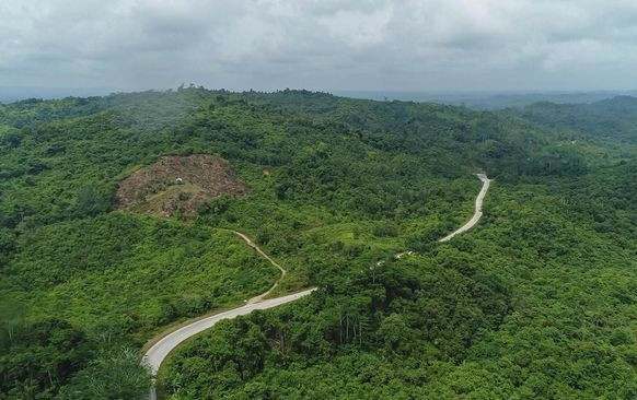 Bayang-Bayang Bencana di IKN Nusantara: Banjir hingga Karhutla