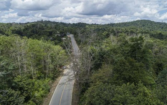 IKN di Bukit Soeharto, Antara Tahura dan Nama Besar Presiden Kedua